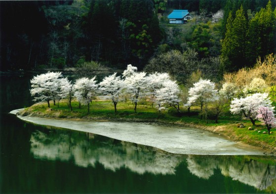 re_交流センター山びこ賞_見守る（薄葉義彦）